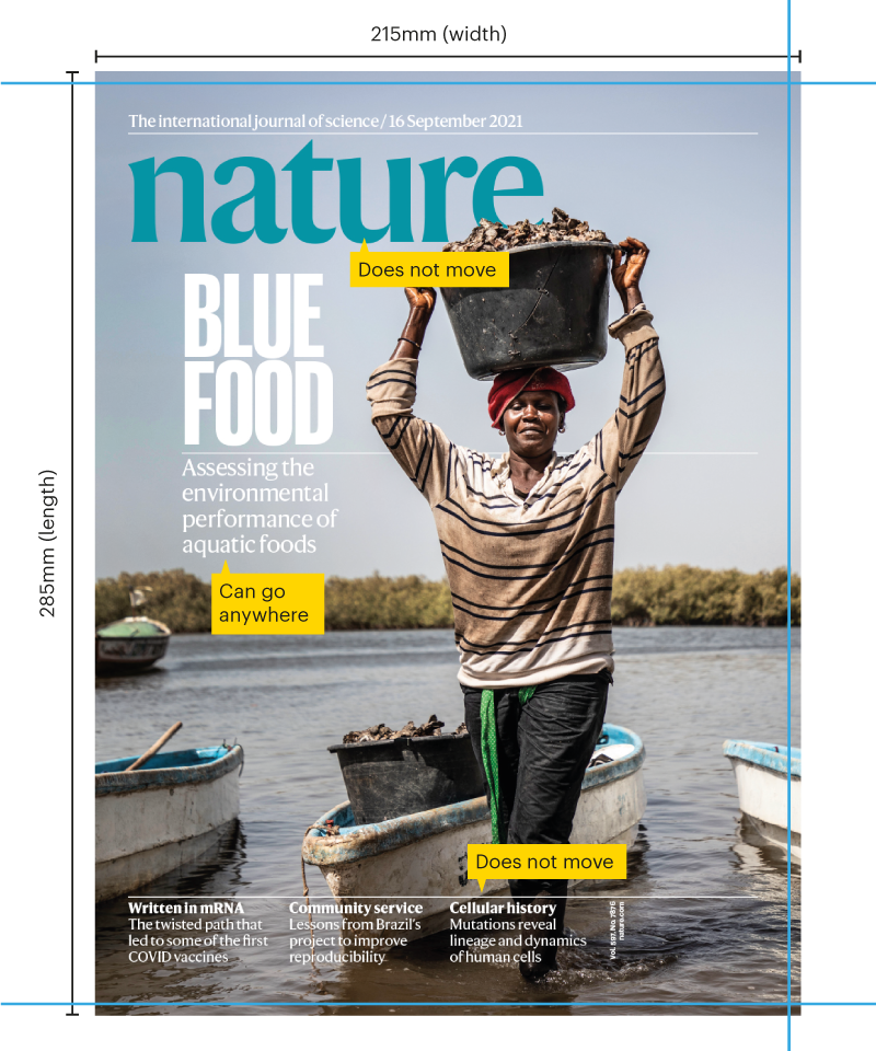Nature BLUE FOOD 封面印刷布局示意并标出顶部底部和右侧三毫米出血