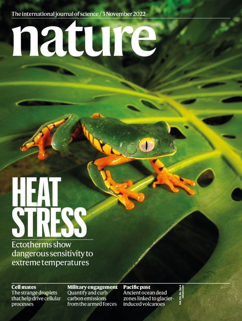 Nature 封面使用绿叶上绿色与橙色青蛙摄影作品的示例
