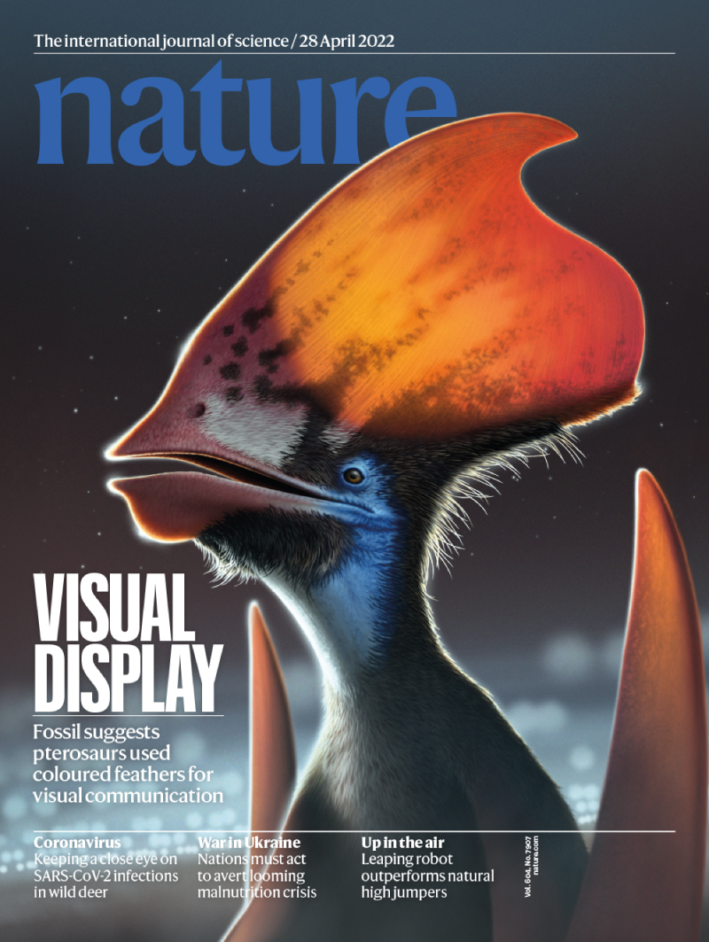 Nature 封面根据科学证据复原带有鲜艳羽毛恐龙的艺术构想