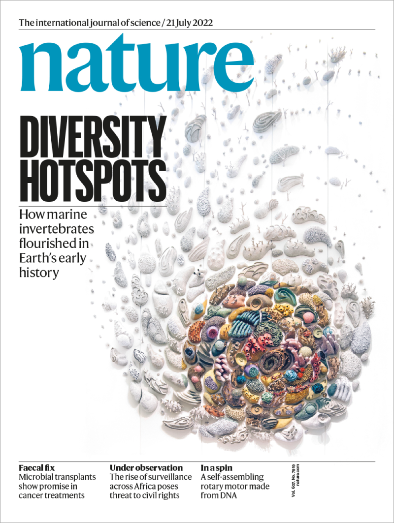 Nature 封面将彩色海洋无脊椎动物化石组织成平衡图案
