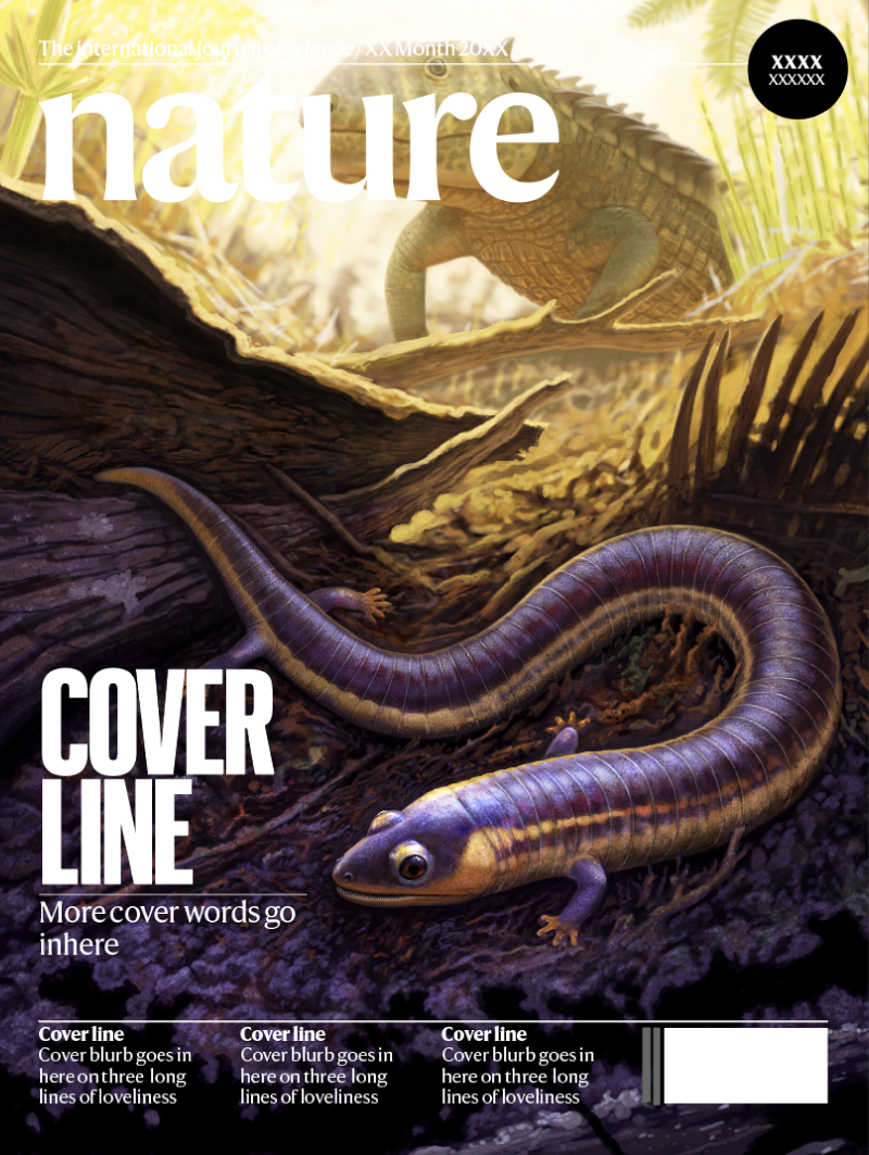 Nature 封面初稿中的重要图像细节与顶部期刊 Logo 位置冲突