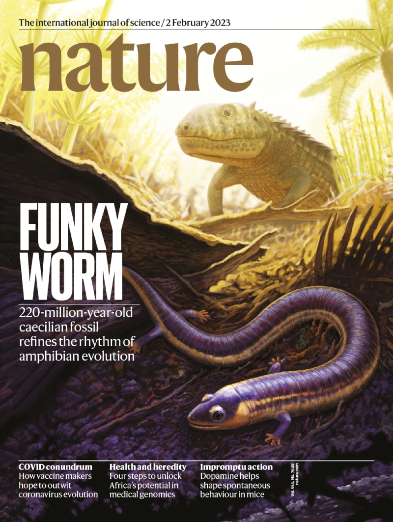 Nature 封面终稿重新安排视觉焦点以避开期刊 Logo
