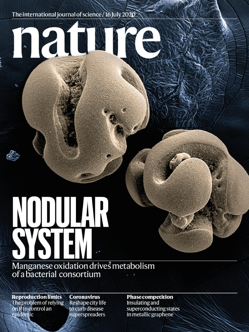 Nature 封面使用锰氧化显微图并标注 Nodular system