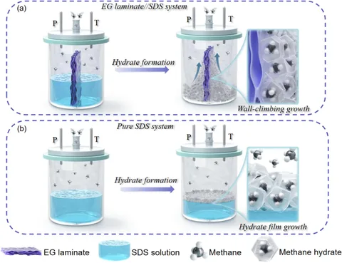 CEJ 甲烷水合物材料机制示意图设计