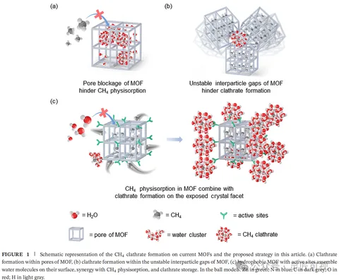ADVANCED FUNCTIONAL MATERIALS ZIF-8中依赖于晶面的水分子团簇实现了高效甲烷储存科研论文示意图