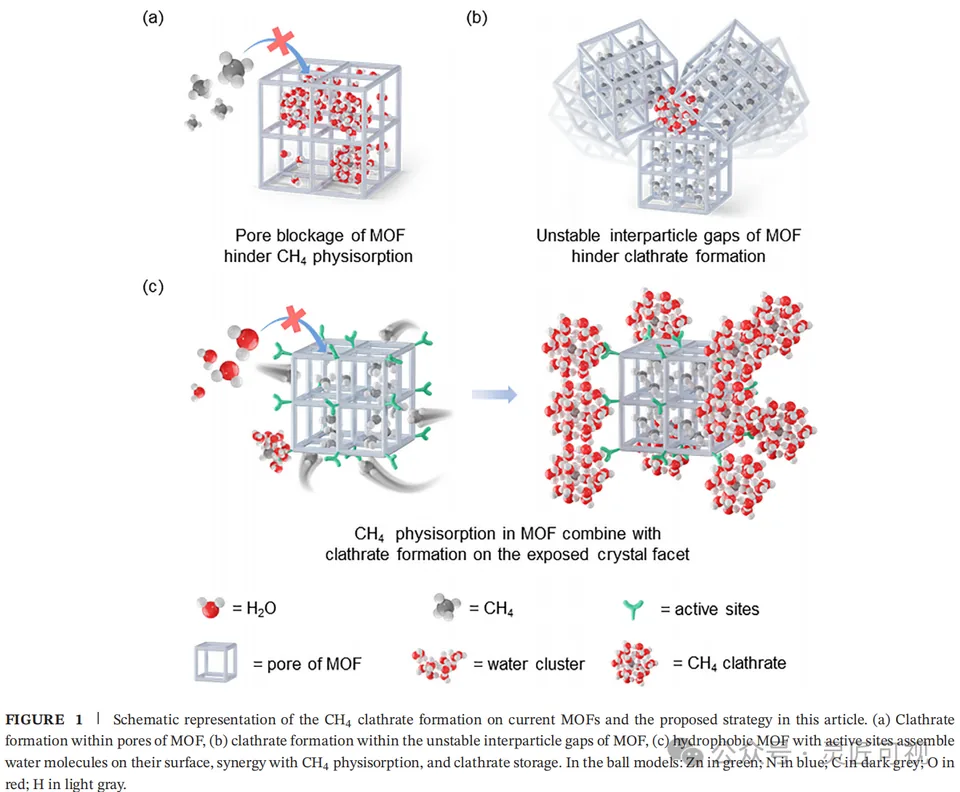 ADVANCED FUNCTIONAL MATERIALS ZIF-8中依赖于晶面的水分子团簇实现了高效甲烷储存科研论文示意图