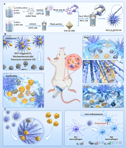 Advanced Science 解决MRSA生物膜顽固难题,面对耐药生物膜,这种刺猬状纳米酶有新思路科研论文示意图