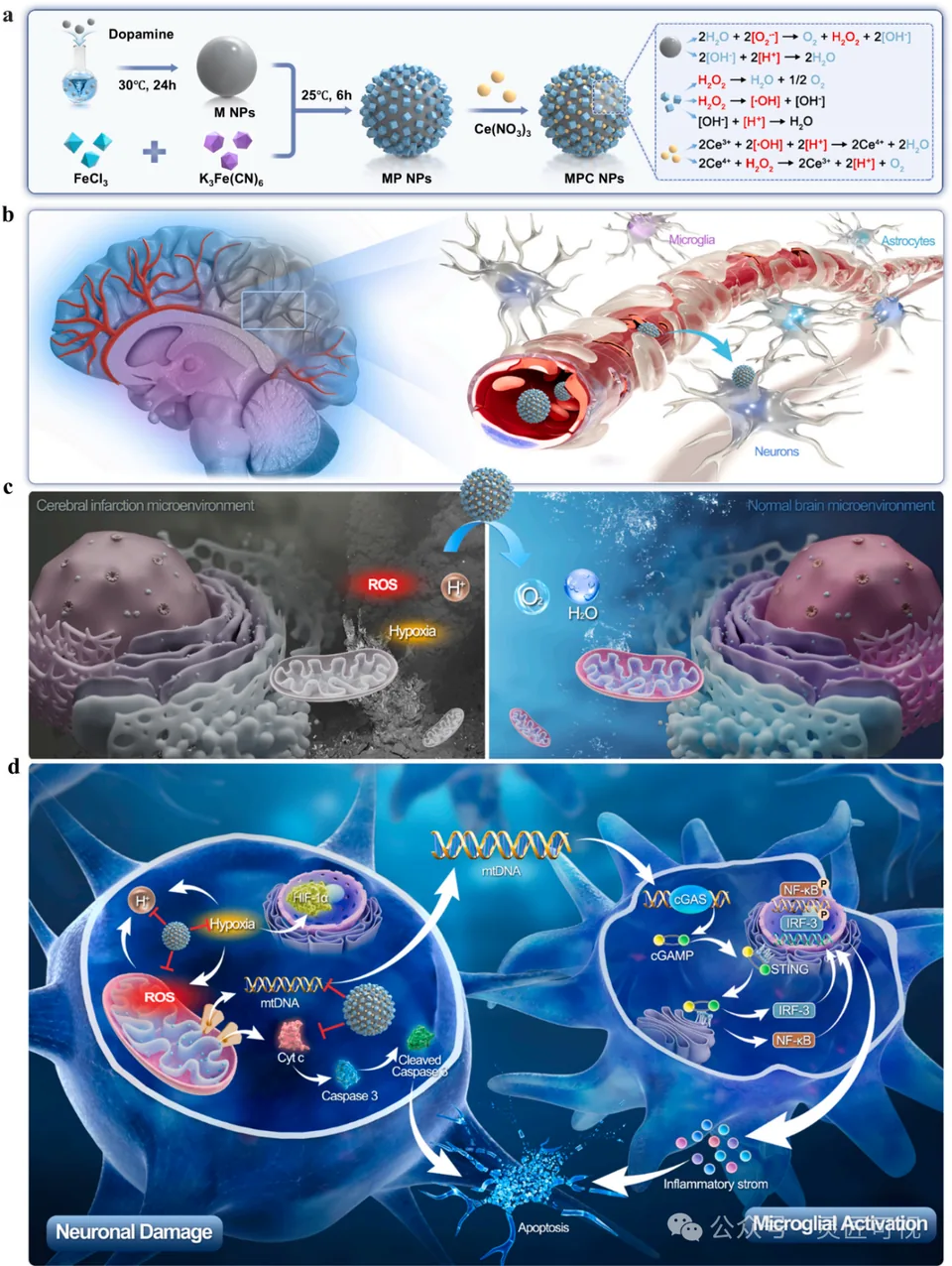 Chemical Engineering Journal 序列靶向纳米医学MPC通过神经微环境重编程治疗脑缺血再灌注损伤科研论文示意图