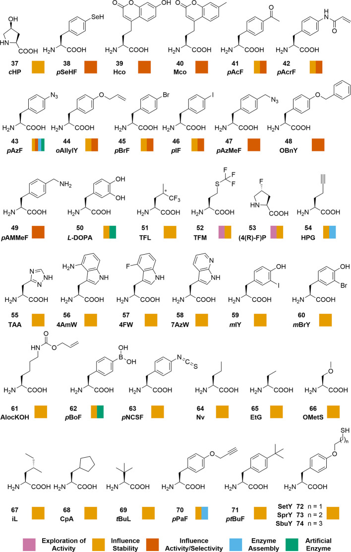 Brouwer等人的Figure 1第二部分,延续结构编号、对齐方式与用途颜色编码