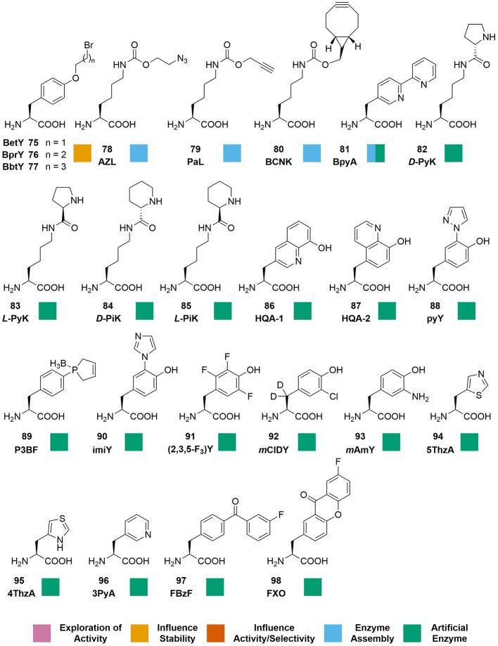 Brouwer等人的Figure 1第三部分,完成结构目录并延续统一图例