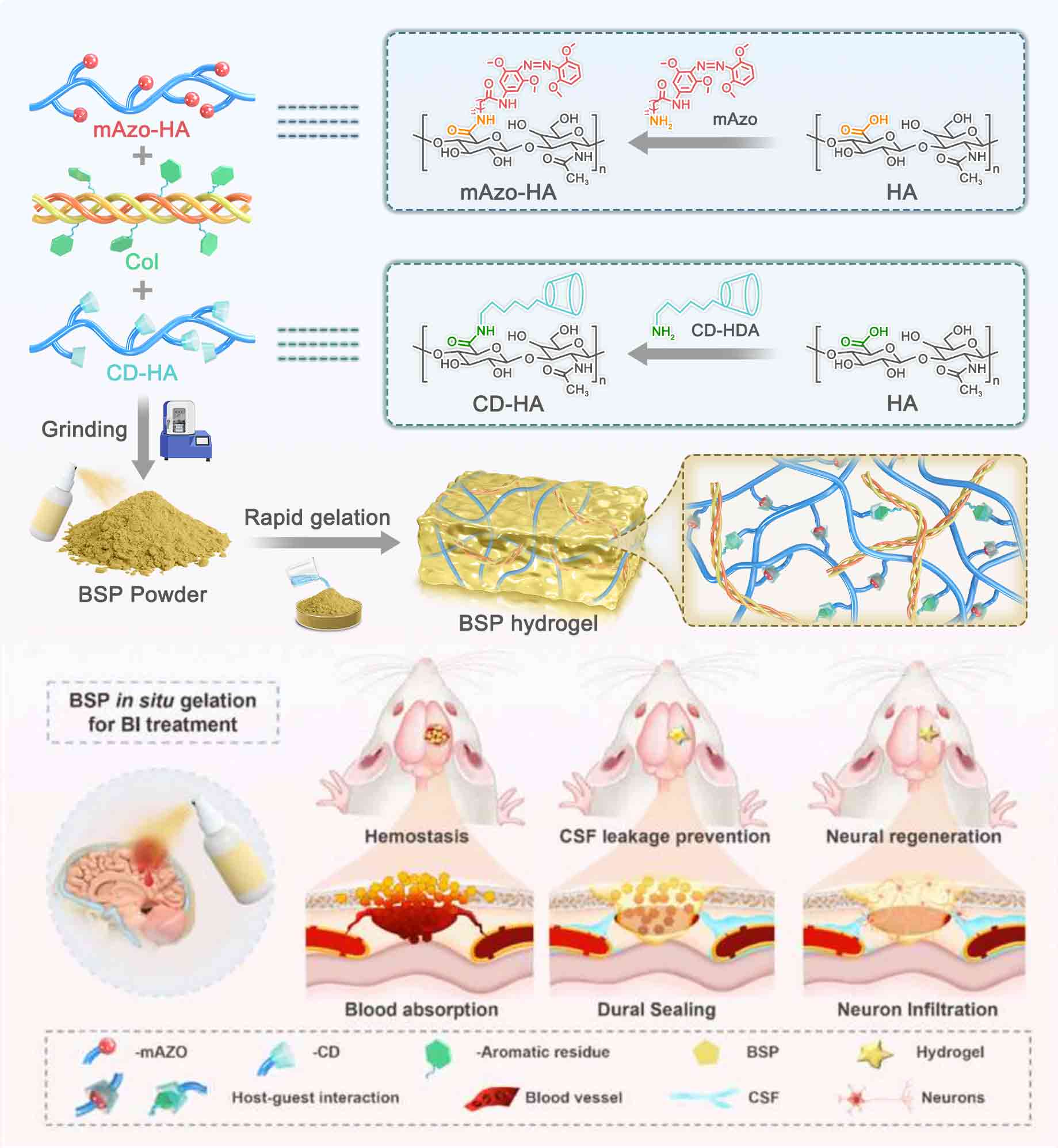分子结构论文示意图