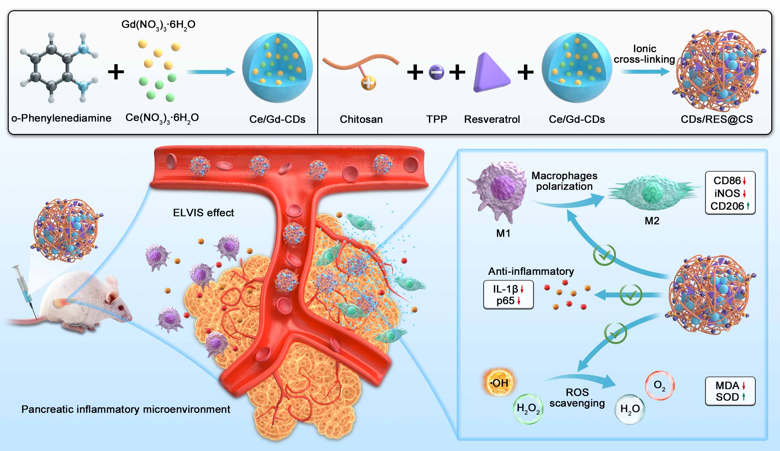 催化剂结构设计示意图
