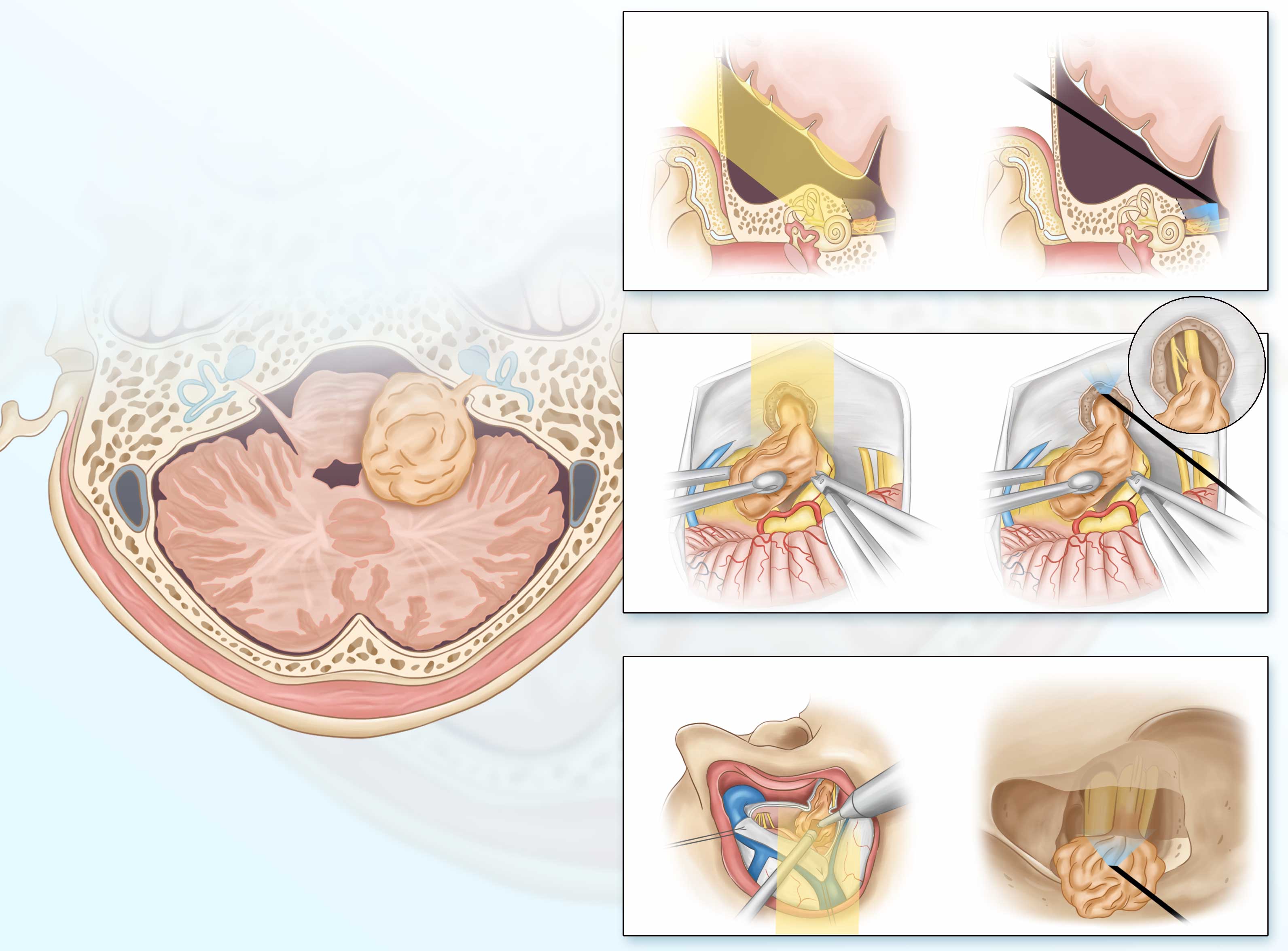 环境科学研究示意图