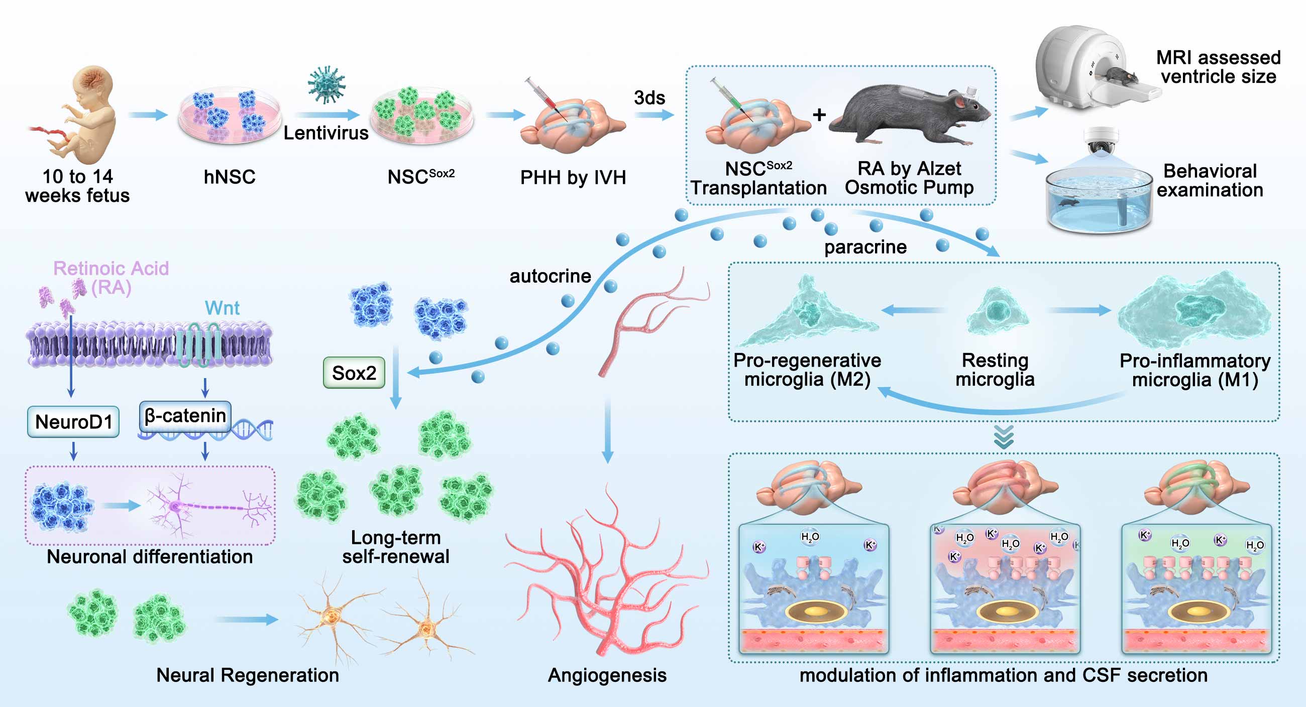 科研论文示意图设计作品