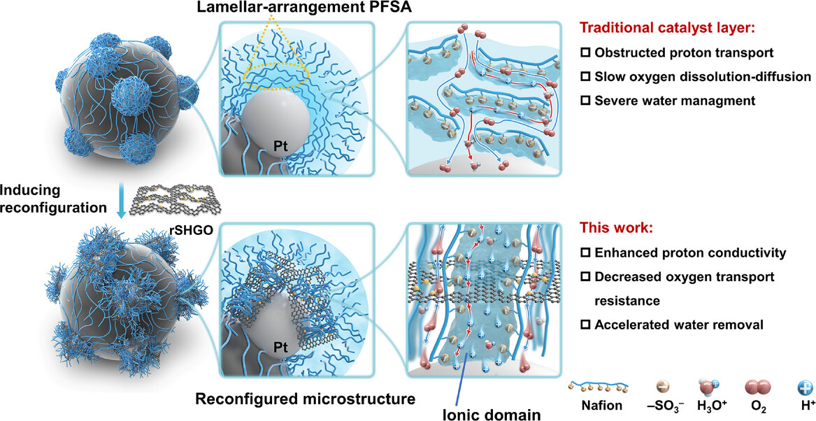 生物医学论文示意图设计