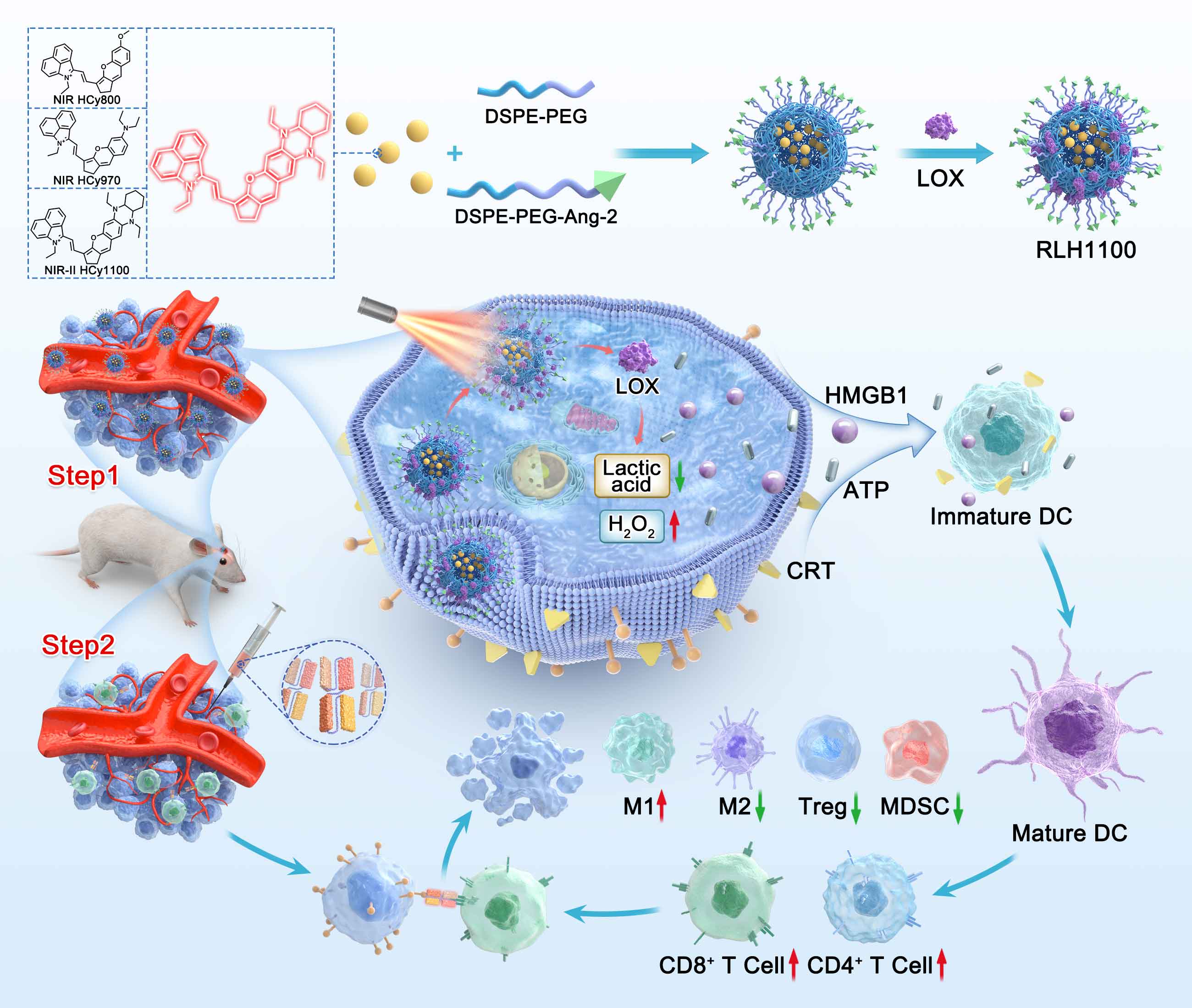 光催化反应机制示意图