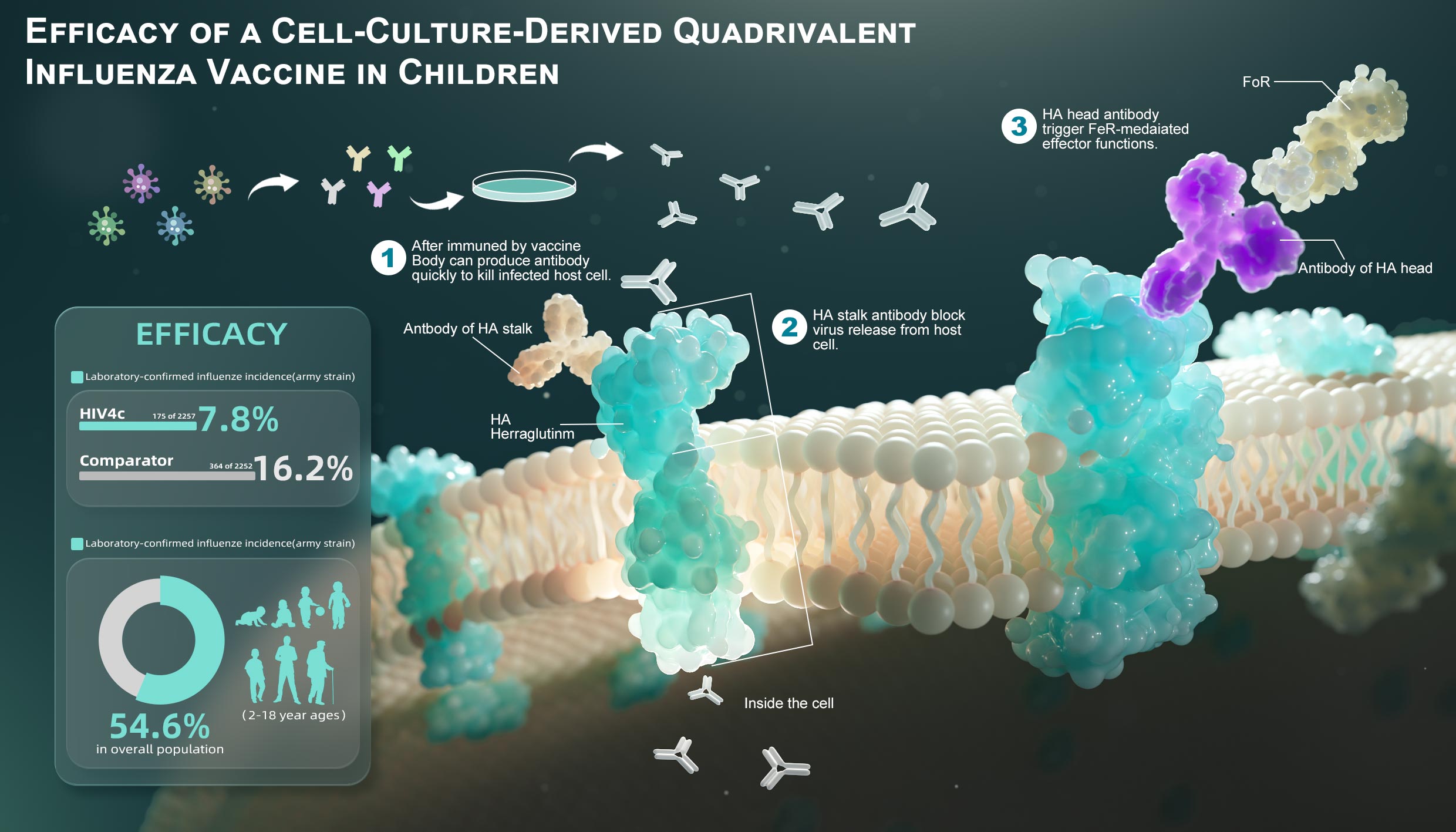 细胞结构与功能科研示意图