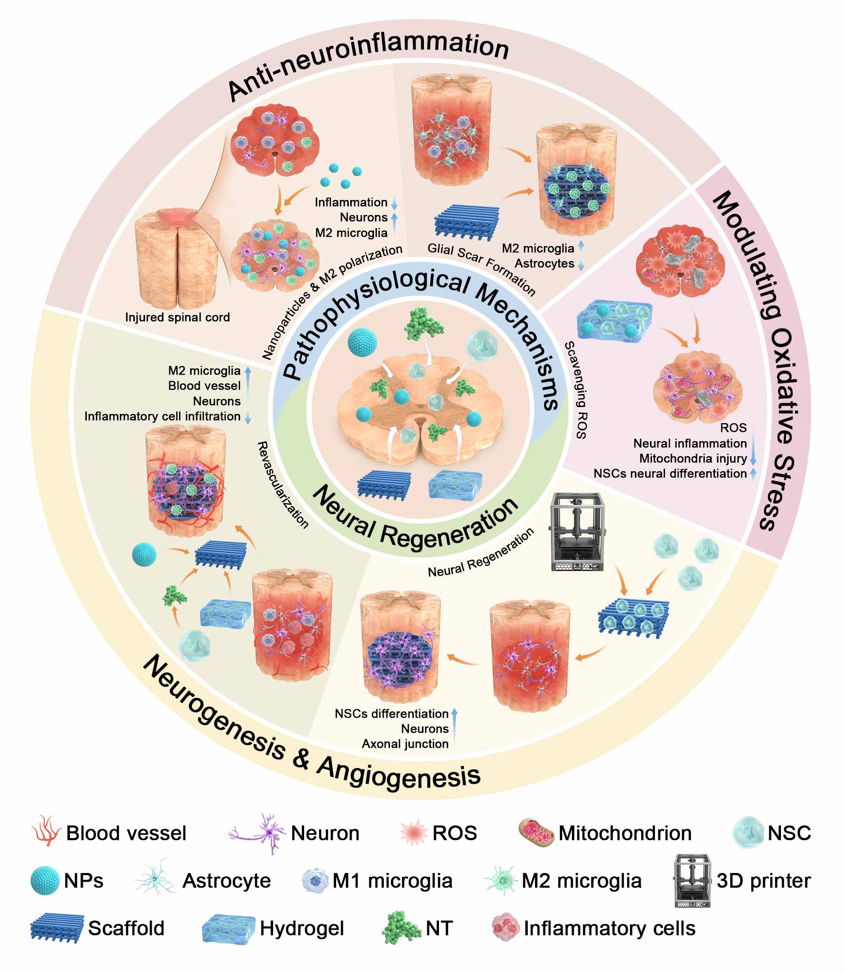 跨学科综述论文配图